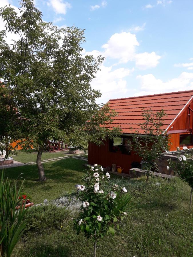 Mátyás Apartman Tard Kültér fotó